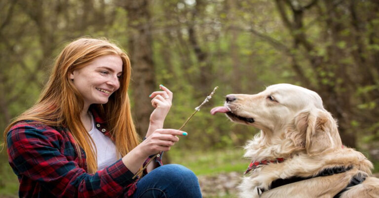 Astragalus for Dogs